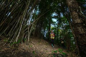 BIB: 
                            <button type="button" onclick="openModal(19396180)" class="btn btn-primary btn-sm float-right btn-popup" data-toggle="modal" data-target=".modal-high-quality">
                        <i class="fas fa-shopping-cart"></i> Add to Cart
                    </button>
                                            <button type="button" onclick="isThisMe(19396180, true)" class="btn btn-success btn-sm float-right btn-popup btn-isme hidden" data-toggle="tooltip" data-placement="bottom" title="นี่คือรูปของคุณใช่ไหม คลิกที่นี่เพื่อเอาเข้าอัลบั้ม">
                        <i class="fas fa-plus"></i> Add to album
                    </button>
                    <button type="button" onclick="isThisMe(19396180, false)" class="btn btn-warning btn-sm float-right btn-popup btn-isnotme hidden">
                        <i class="fas fa-ban"></i> Remove from album
                    </button>